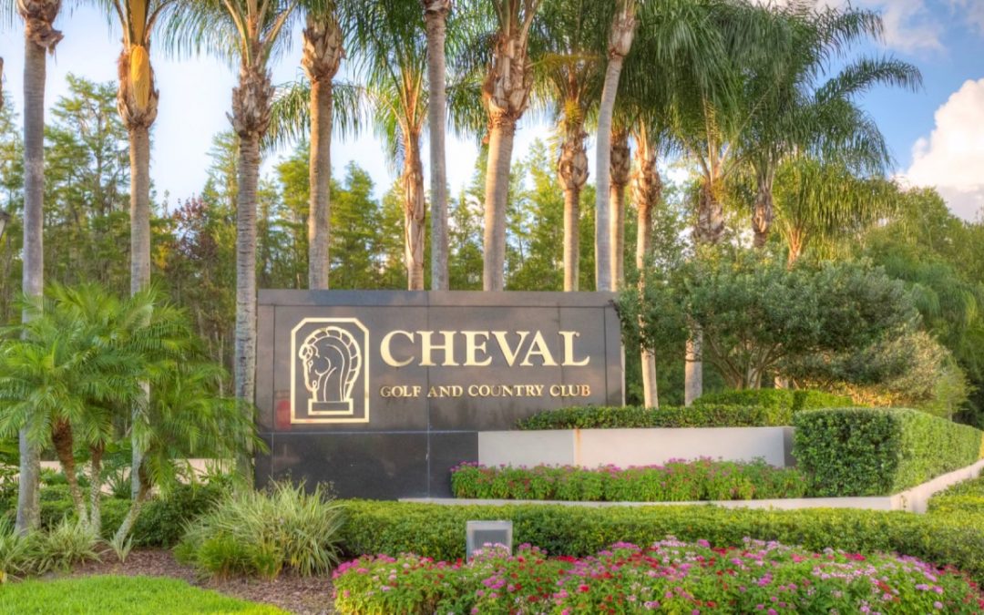 House Cleaning Services Cheval FL