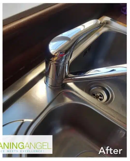 move in cleaning tampa