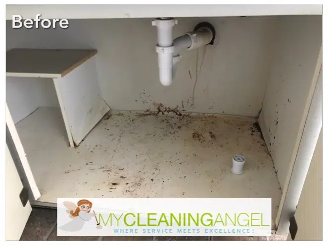 house cleaning services Belle Isle