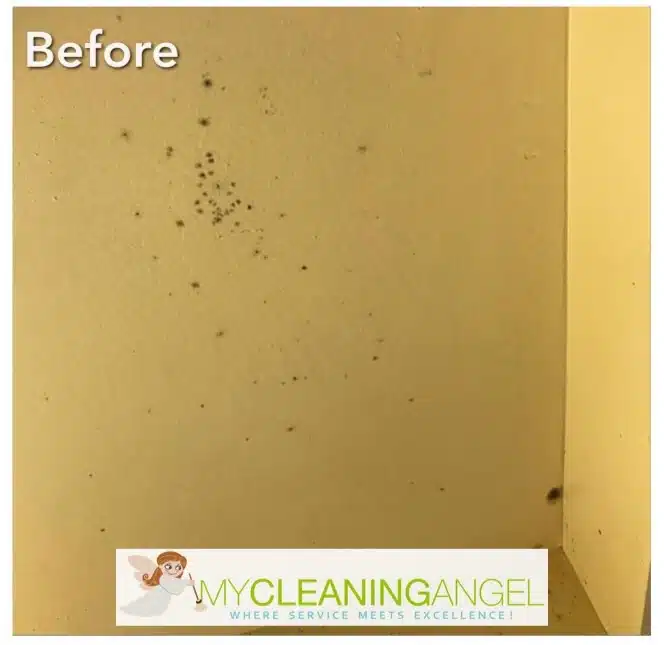 house cleaning services Doraville