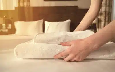 What To Expect From A Maid Service?