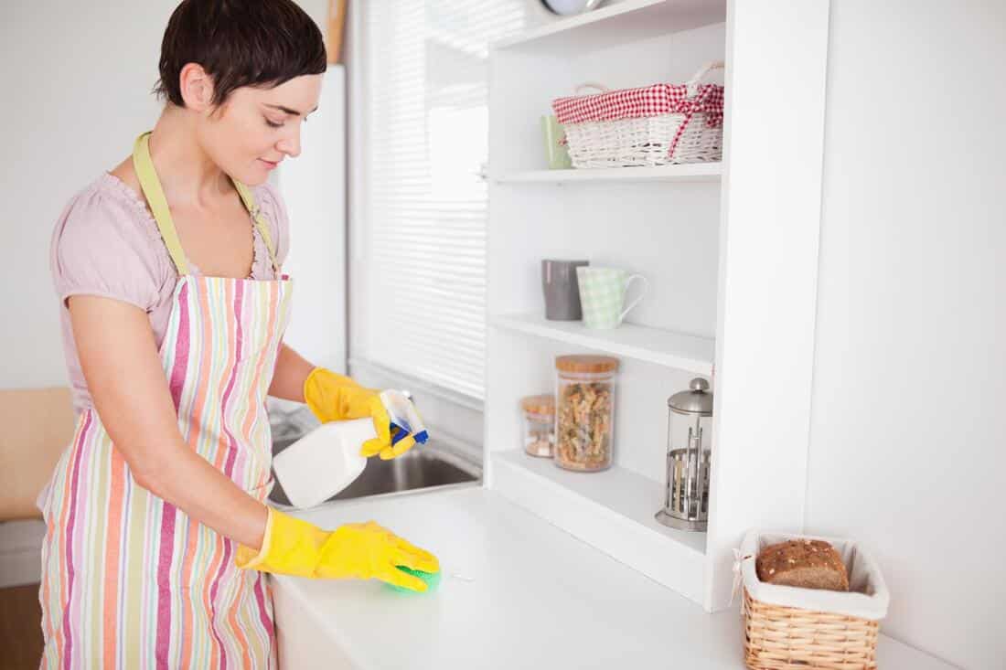 house cleaning services in tampa