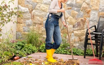 Fall Cleaning Tips to Keep Up  Your Home