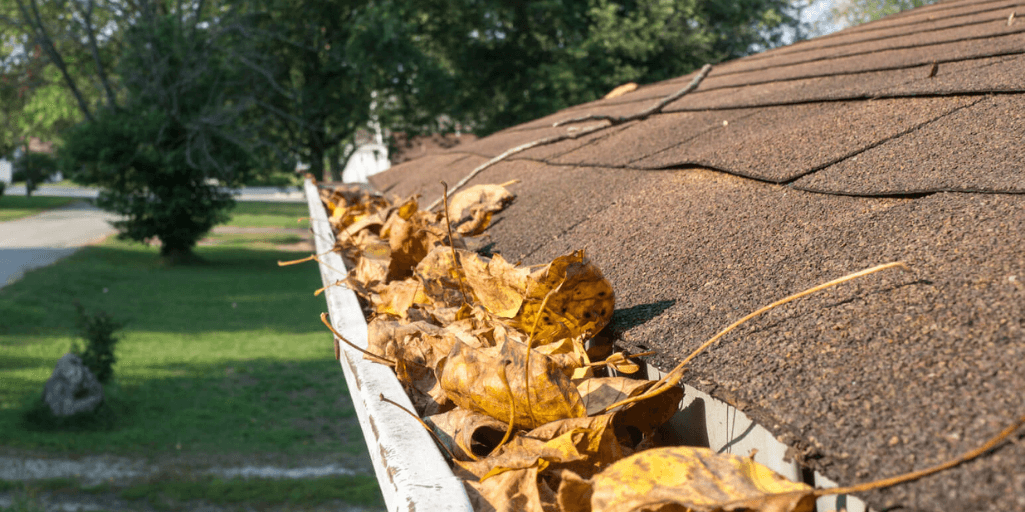 fall cleaning tips