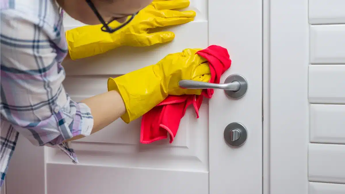 clean door handles