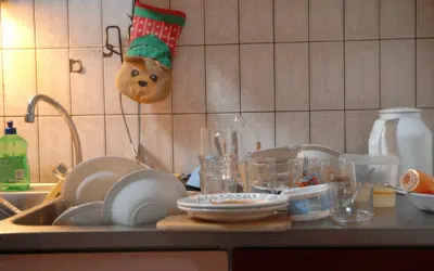 Is My House Too Dirty For a Cleaning Service Company?