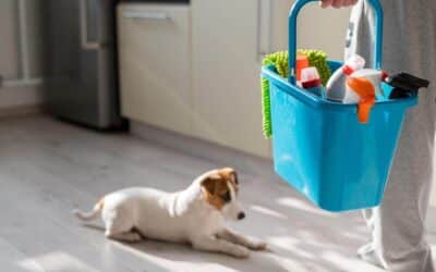 How To Do A Spring Cleaning For Pets Owners