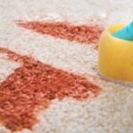 stains from your carpet 2