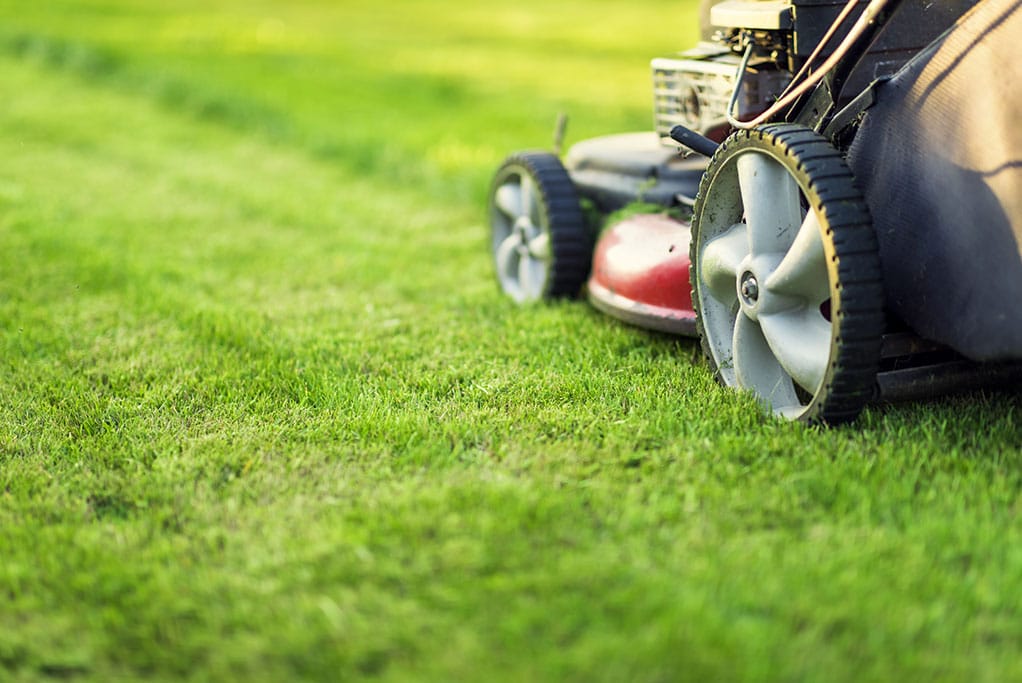 cutting the grass