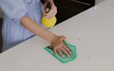 Can You Clean Without Chemicals?