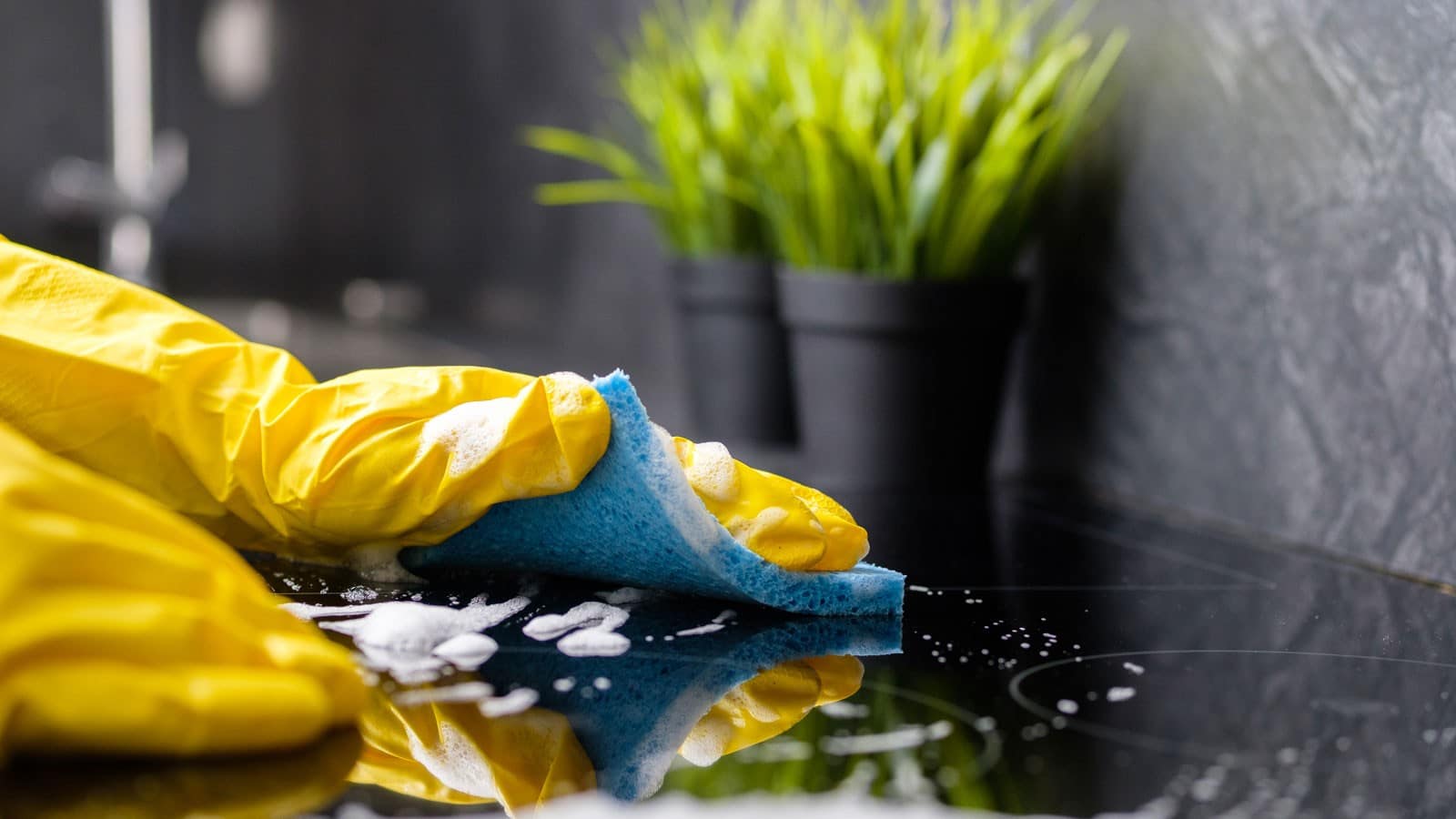 Property Managers Need Professional Cleaning