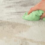 clean carpet stains cover