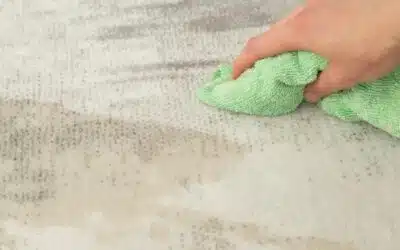 How To Clean Carpet Stains