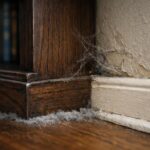 missed-cleaning-areas