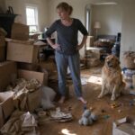 introduction guide move in cleaning in houston