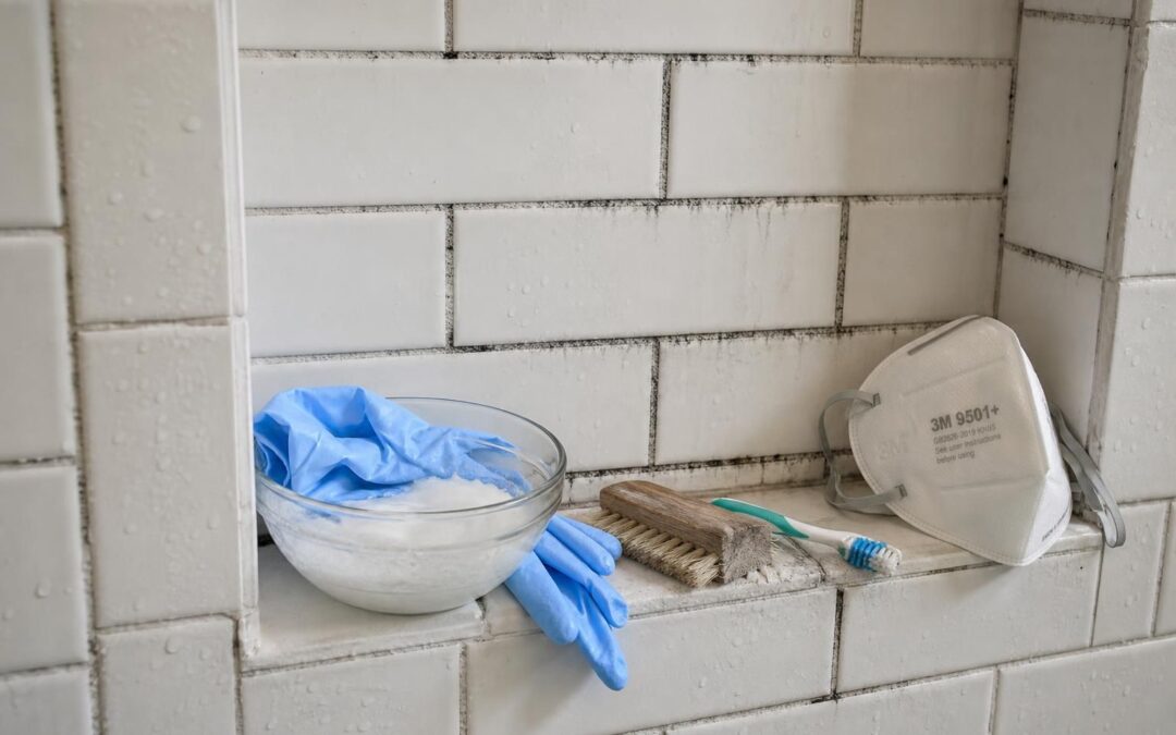 introduction clean bathroom grout
